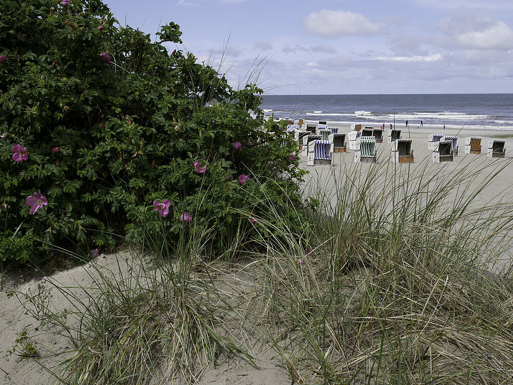 Wangerooge